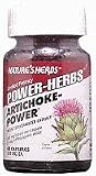 Natures Herbs Artichoke Extract -- 60 Capsules