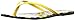 Nine West Women's Dulcie Flip Flop