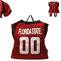 Florida State Seminoles Jersey Backpack