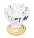 Amerock Solid Brass 1 3/16" Acrylic Cabinet Knob Polished Brass Base