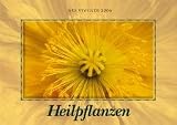 Produkt-Bild: Heilpflanzen 2006.