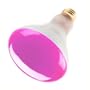 Incandescent Flood Light Bulb, BR30, 65 Watt, 130 Volts, Dawn Pink