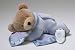 Baby : Slumber Bear- Ice Blue