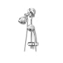 Pollenex DPSBAR Combo Slide Bar, Chrome