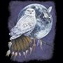 Nat Amer Owl Moon Adult T-Shirt