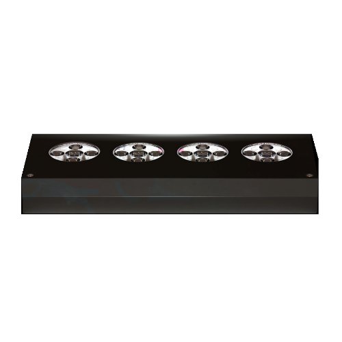 AI Vega Color - Black AI Vega Color - Black