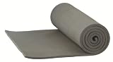 ALPS Mountaineering Foam Camping Mat