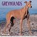 Book Dog Breeds Greyhounds Calendar