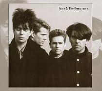 Echo & the Bunnymen
