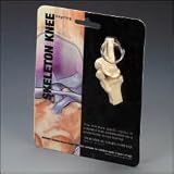 Knee Joint Key Ring (7036SP) - Quantity of 6-7036SP
