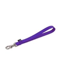Pet Products: Lupine 42577 .75 in. Purple Training Tab - Lupine