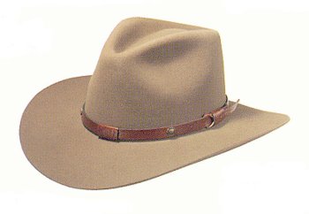 Stetson Catera hat