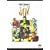 �̑�Ȃ�W���Y�̗��j [DVD]