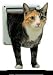 Deluxe Cat Flap