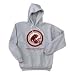 Michigan Panthers Hoody
