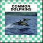 Common Dolphins