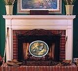 Philadelphia Eagles Stained Glass Fireplace Screen