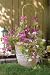 BT4810 Bamboo U-Trellis