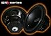 RE AUDIO SRX10D2 10