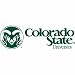 Build-A-Bear Workshop Colorado State University Tee