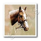 Palomino Horse - 6x6 Iron On Heat Transfer For White Material