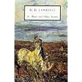 St. Mawr (Penguin Twentieth Century Classics)