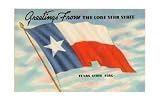State Flag of Texas Education Art Poster Print, 17x11