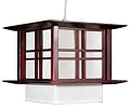 Simple Inexpensive Light Fixture - 10