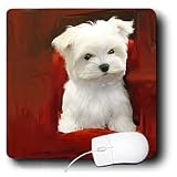 image link - - B002I8454O