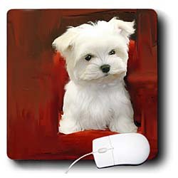 image link -  - B002I8454O