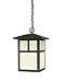 Westinghouse 64831 One-Light Pendant, Textured Black with Honey Art Glass