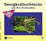 Zwergkrallenfr&ouml;sche und ihre Verwandten - Frank Sch&auml;fer