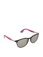 Carrera Gafas de Sol 5019/SUENB1 Havana