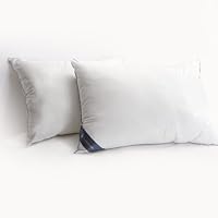 U.S. Polo Assn. Basic Down Alternative Pillow with CornerSilk, 18-Ounce, 20-Inch by 36-Inch, King