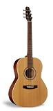 Seagull 032549 Coastline Folk Cedar Acoustic Guitar - Semi-Gloss Custom Finish