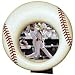 Kitchen & Housewares : Baseball Authentic Sport Frame / 8