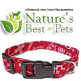 All Natural Lavender Dog Flea Collar Large 20