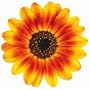 Ornamental Orange Sunflower Flower Die-Cut Photographic Magnet