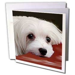image link - - B002JSS5LC