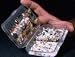Sporting Goods : Days Worth Fly Box System