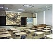Draper 116015 Draper Screen 100" Moto