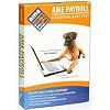Ame Small Business Payroll