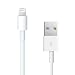 Diginova - 8 Pin Cable / USB Data Sync Cable Lead / Dock Connector Suitable For iPod Touch 5th Generation / iPad Mini / iPhone 5 - White