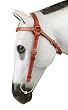 Toowoomba 3/4" Edge Sewn Barcoo Bridle