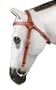 Toowoomba 3/4" Edge Sewn Barcoo Bridle, Havana