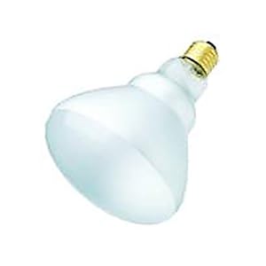 Long Life BR-40 120 Watt Flood 20,000 Hours by