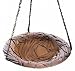 Dragonfly Hanging Birdbath (Rust)