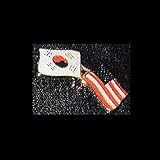 Korea and USA Pin
