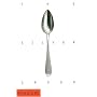 The Silver Spoon