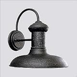 Progress Lighting Brookside Gilded Iron One-Light Outdoor Wall Lantern